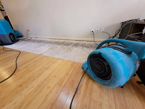 Professional Water Damage Repair technician working in Scotch Plains, NJ